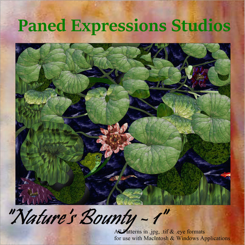 Nature's Bounty I