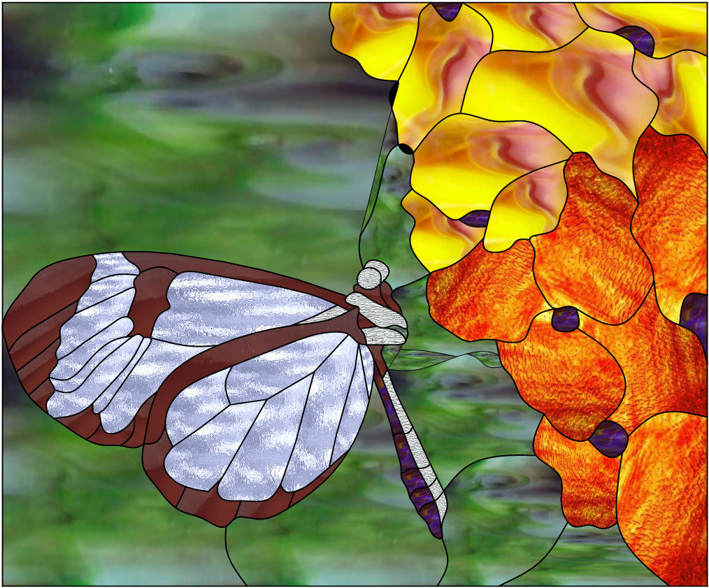 Glass Wing Butterfly