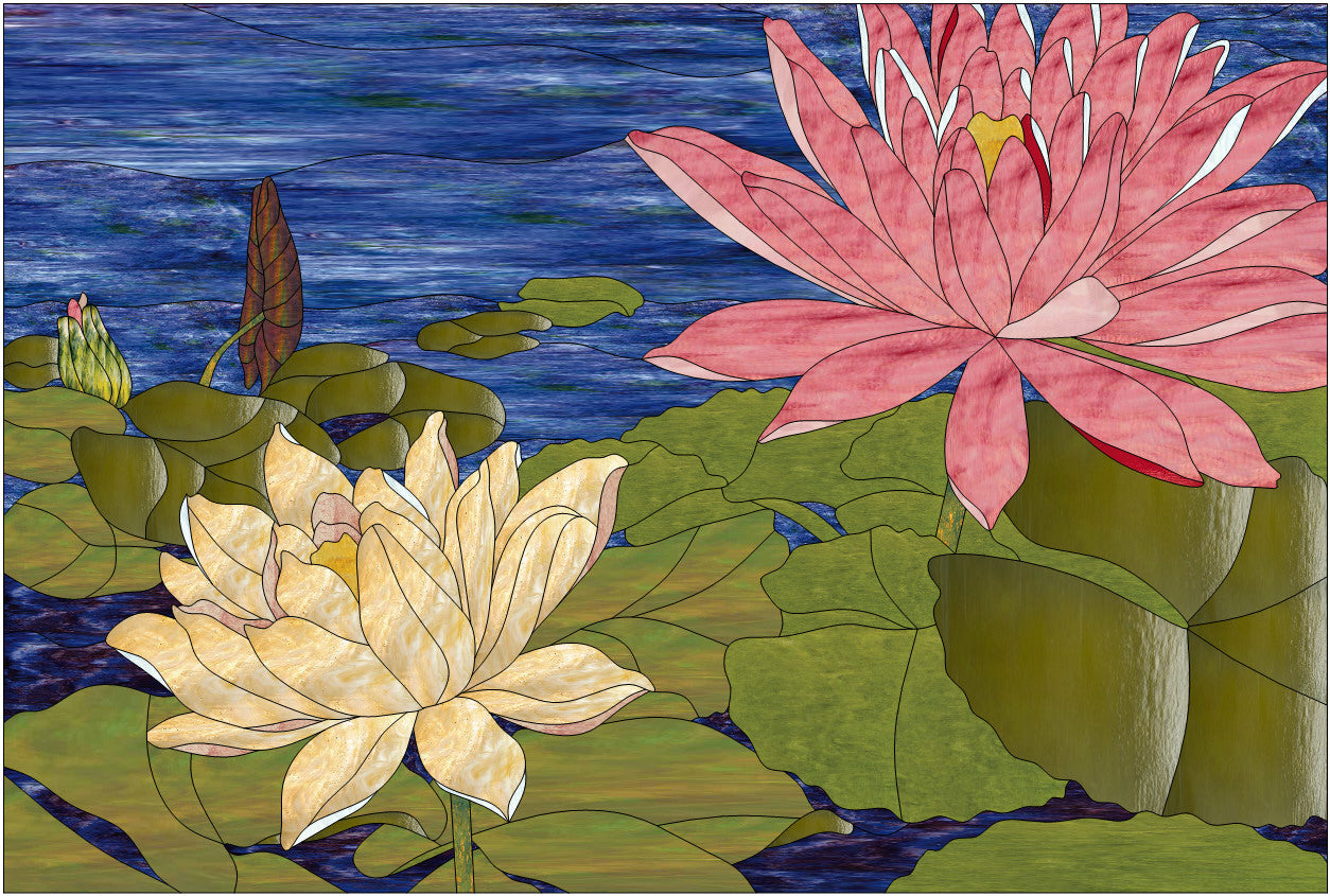 Lily Pond